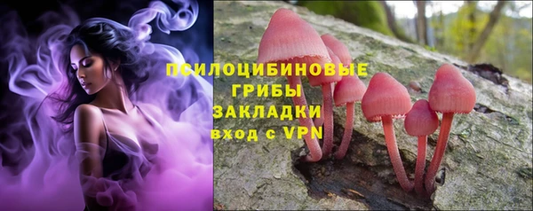 mdma Бородино