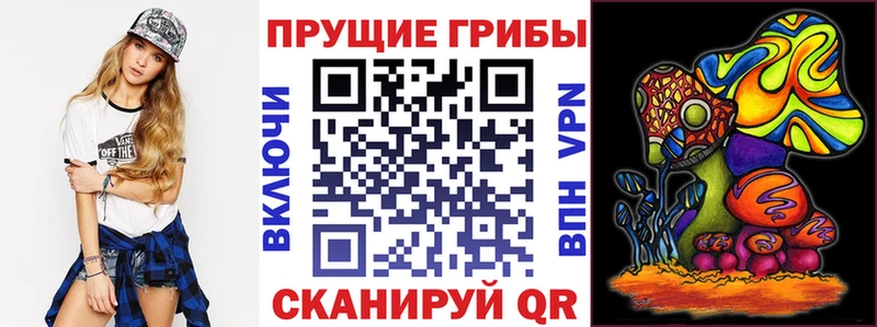 где продают   Стерлитамак  Псилоцибиновые грибы ЛСД 